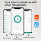 Tuya Intelligent Fingerprint Door Lock With Application Control And Key - AELYOS