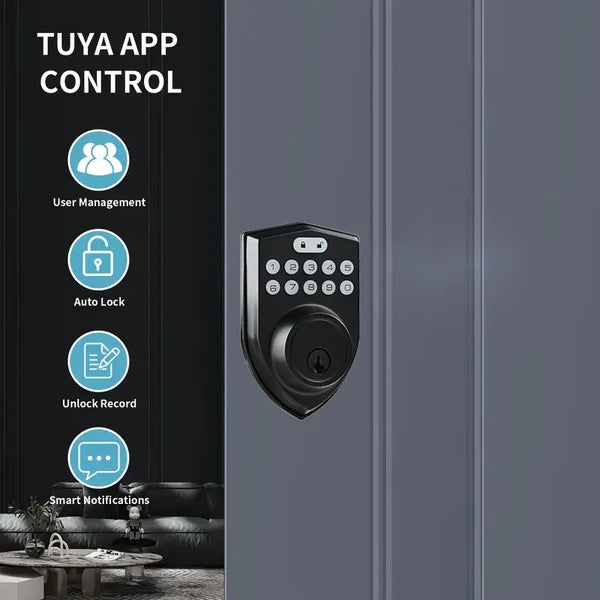 Tuya Smart Door Lock With App Control And Key - AELYOS
